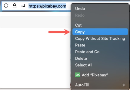 Copy a URL